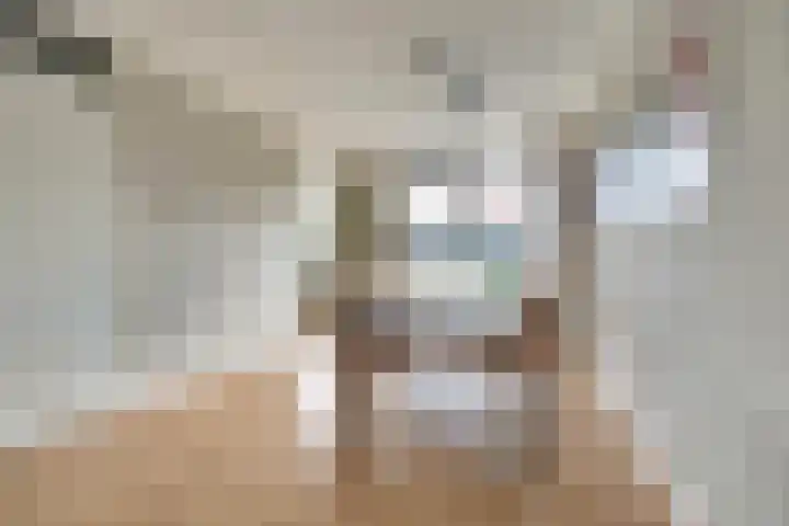 Lire 23 Dronten thumbnail 11