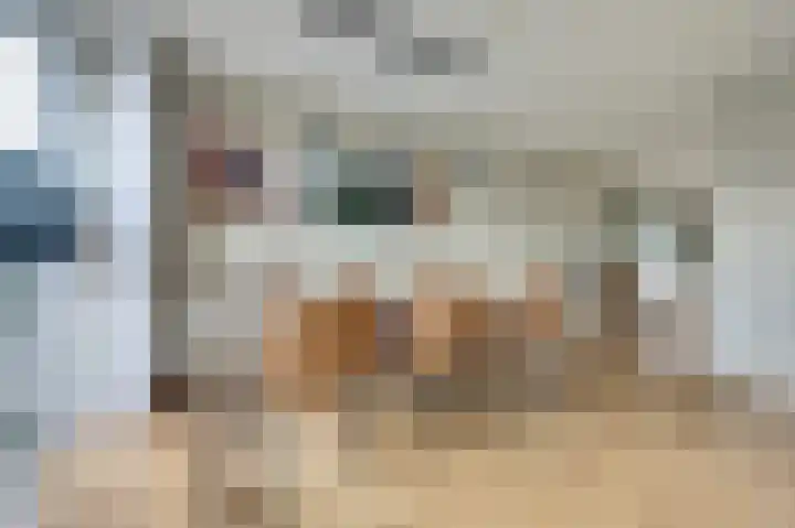 Lire 23 Dronten thumbnail 12