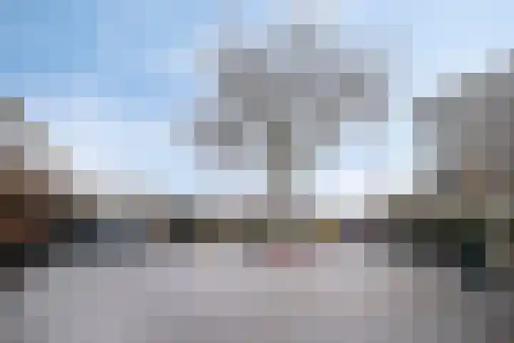 Lire 23 Dronten thumbnail 13