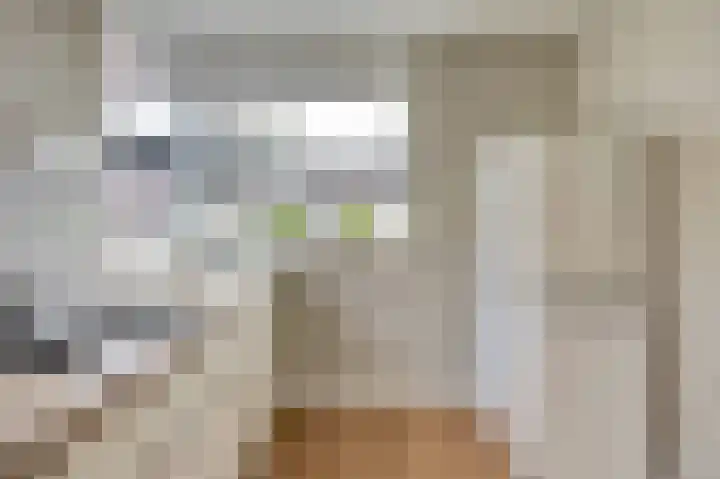 Lire 23 Dronten thumbnail 15