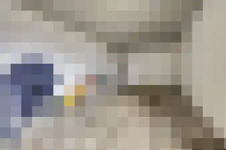 Lire 23 Dronten thumbnail 17