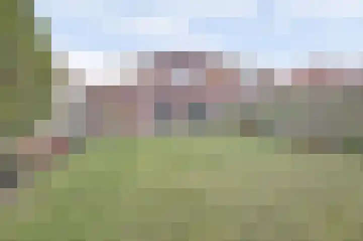 Lire 23 Dronten foto 2