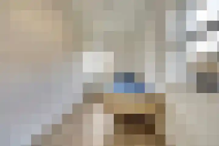 Lire 23 Dronten thumbnail 21