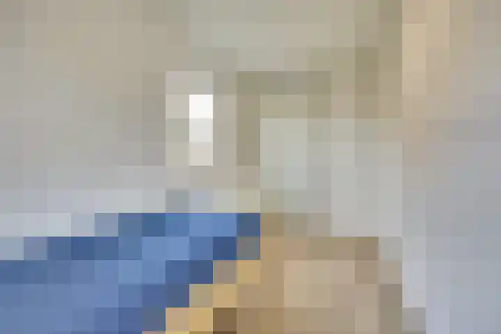 Lire 23 Dronten thumbnail 22