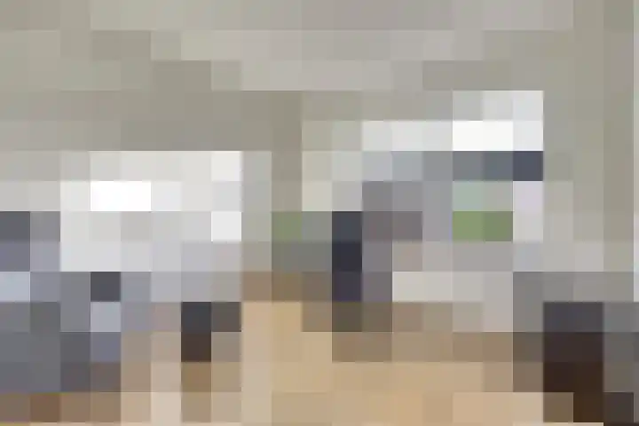 Lire 23 Dronten thumbnail 24
