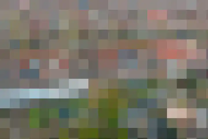 Lire 23 Dronten thumbnail 33