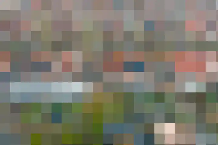 Lire 23 Dronten thumbnail 34