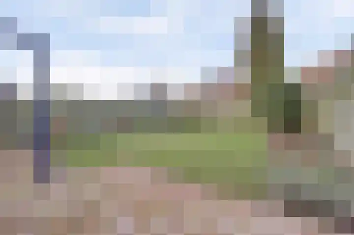 Lire 23 Dronten thumbnail 37