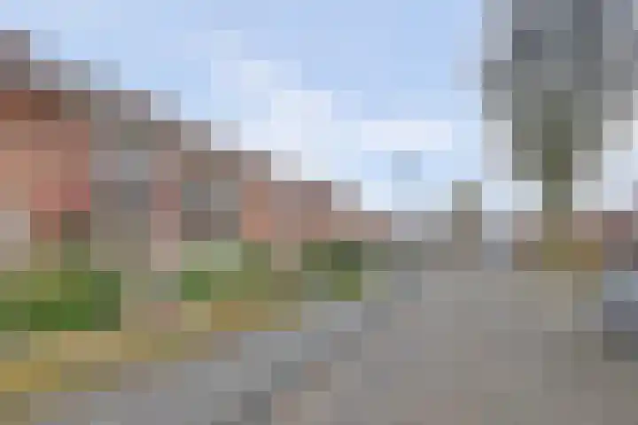 Lire 23 Dronten thumbnail 39