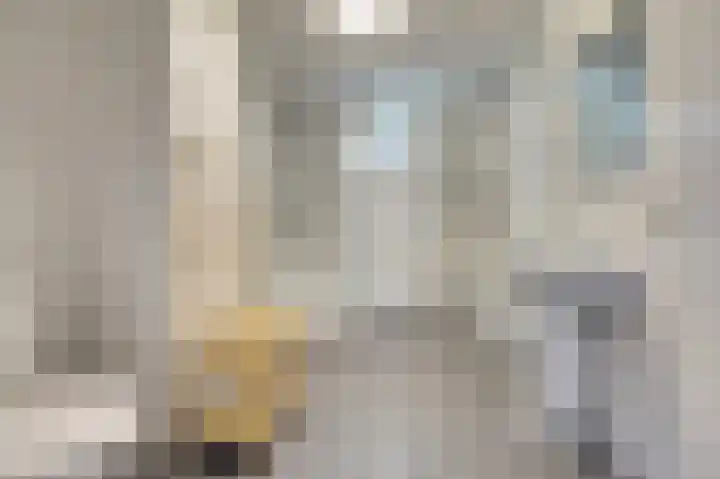 Lire 23 Dronten thumbnail 4