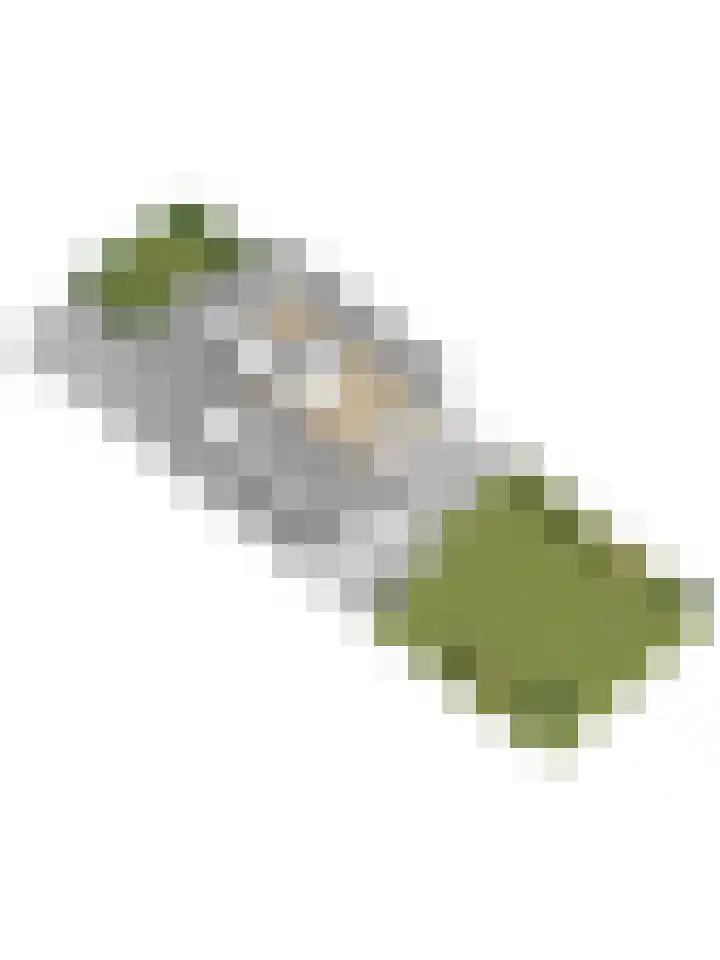 Lire 23 Dronten thumbnail 46