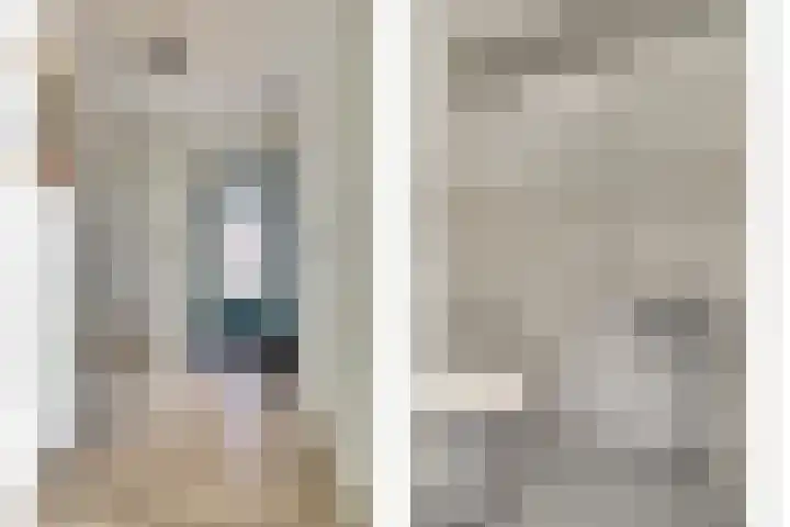 Lire 23 Dronten thumbnail 6