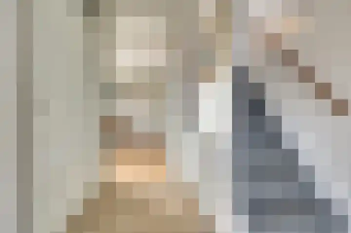 Lire 23 Dronten thumbnail 7