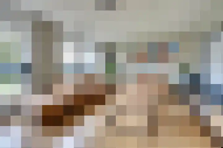 Lire 23 Dronten thumbnail 8
