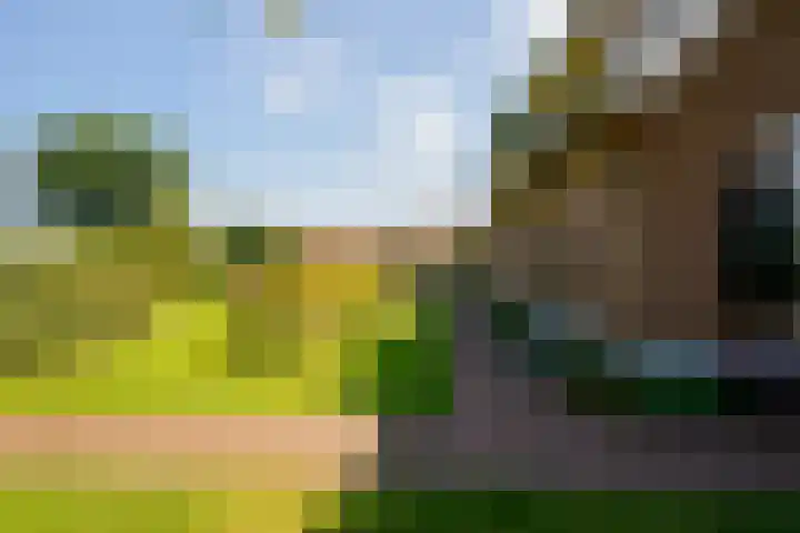 Foto van Lisa de Wildt