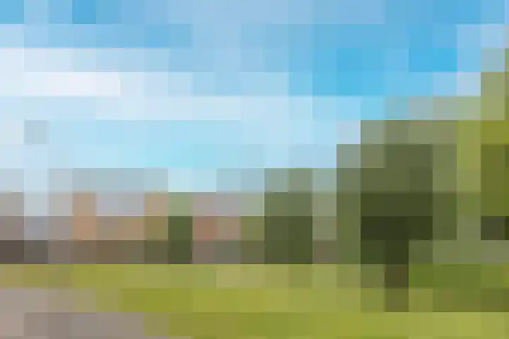 Lisboa 33 Wormer thumbnail 33