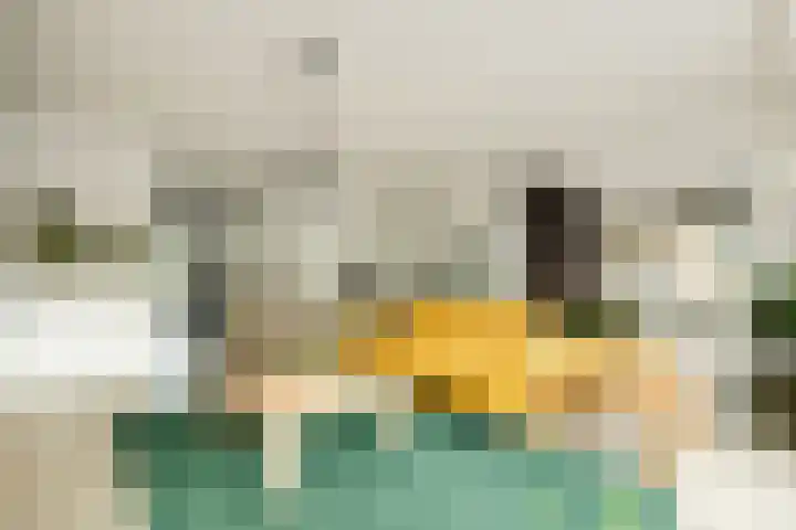 Lisdodde 1 Boxtel thumbnail 12