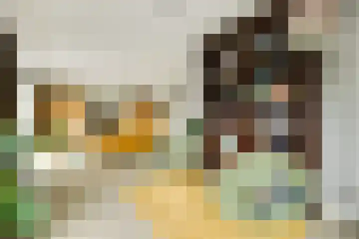 Lisdodde 1 Boxtel thumbnail 17