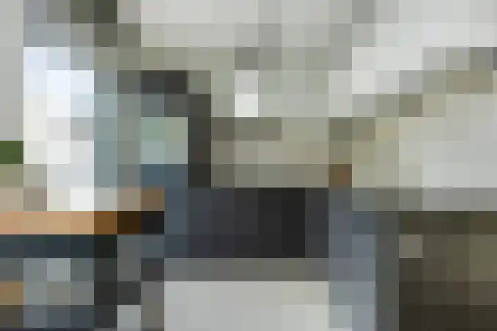 Lisdodde 1 Boxtel thumbnail 23