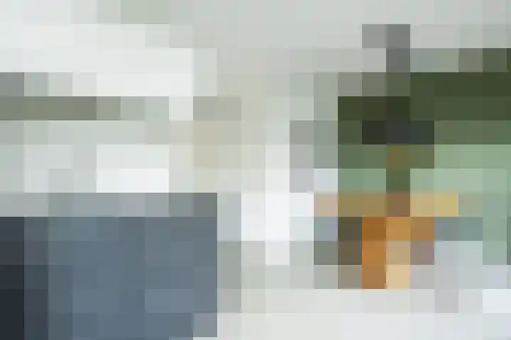 Lisdodde 1 Boxtel thumbnail 25