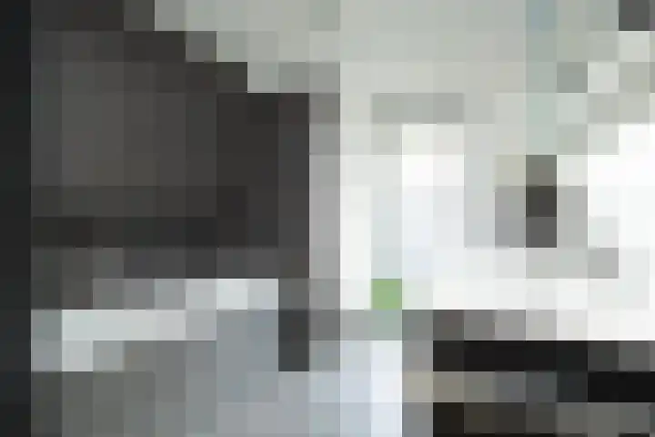 Lisdodde 1 Boxtel thumbnail 29