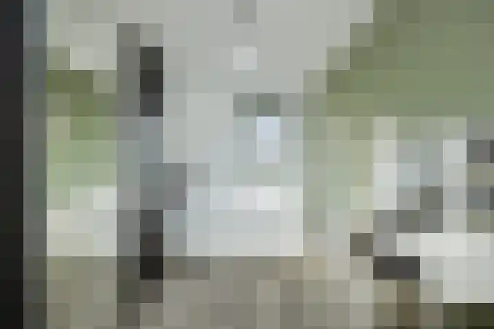 Lisdodde 1 Boxtel thumbnail 37