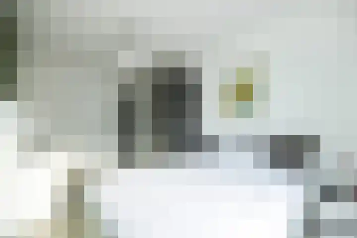 Lisdodde 1 Boxtel thumbnail 38