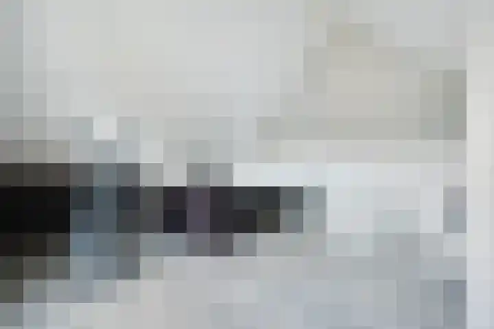 Lisdodde 1 Boxtel thumbnail 41