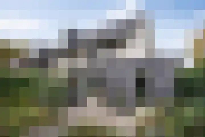 Lisdodde 1 Boxtel thumbnail 45