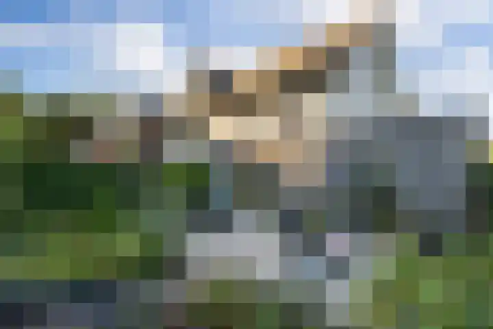 Lisdodde 1 Boxtel thumbnail 46