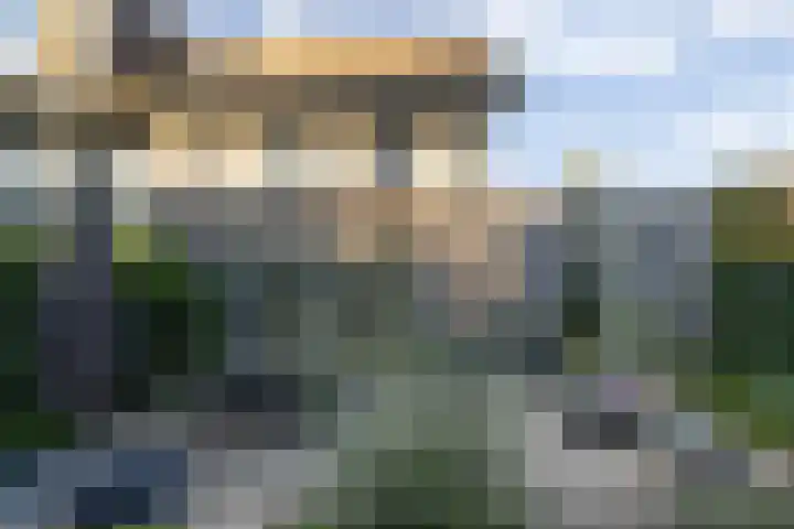 Lisdodde 1 Boxtel thumbnail 48