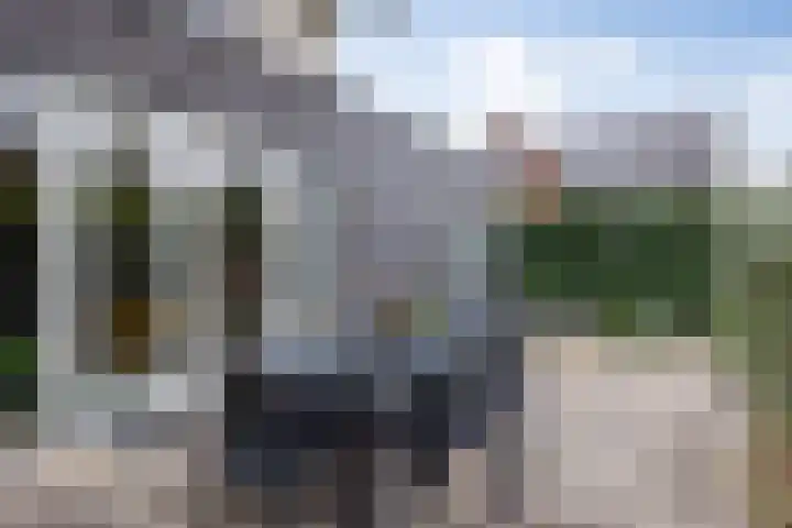 Lisdodde 1 Boxtel thumbnail 50