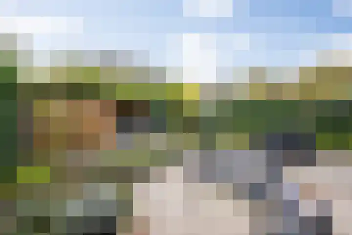 Lisdodde 1 Boxtel thumbnail 52