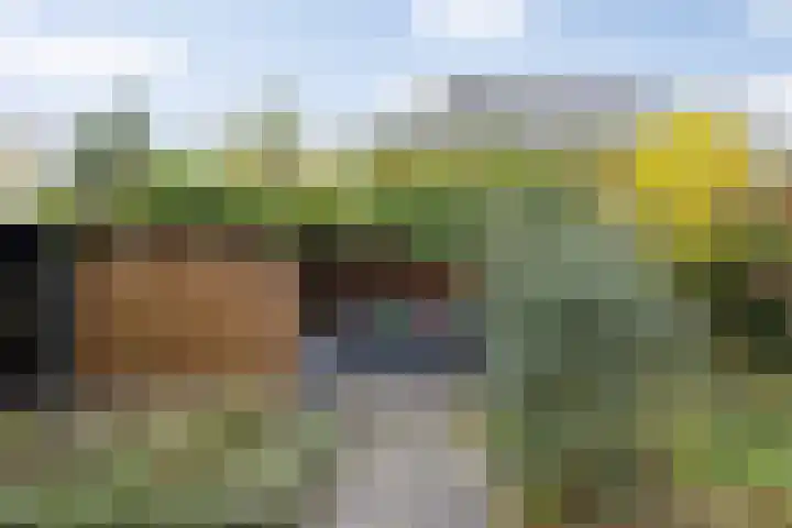Lisdodde 1 Boxtel thumbnail 53