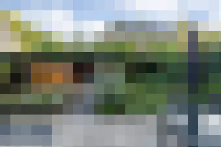 Lisdodde 1 Boxtel thumbnail 54