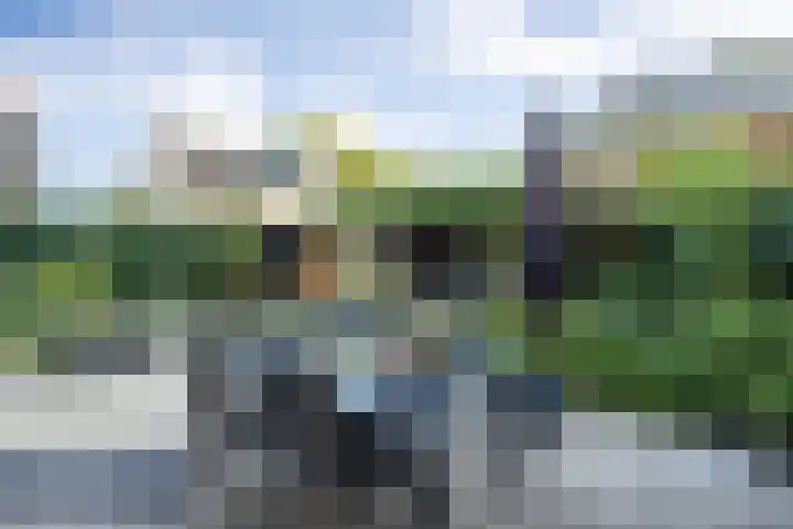Lisdodde 1 Boxtel thumbnail 56