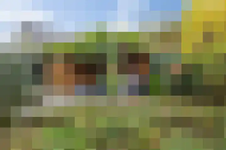 Lisdodde 1 Boxtel thumbnail 57