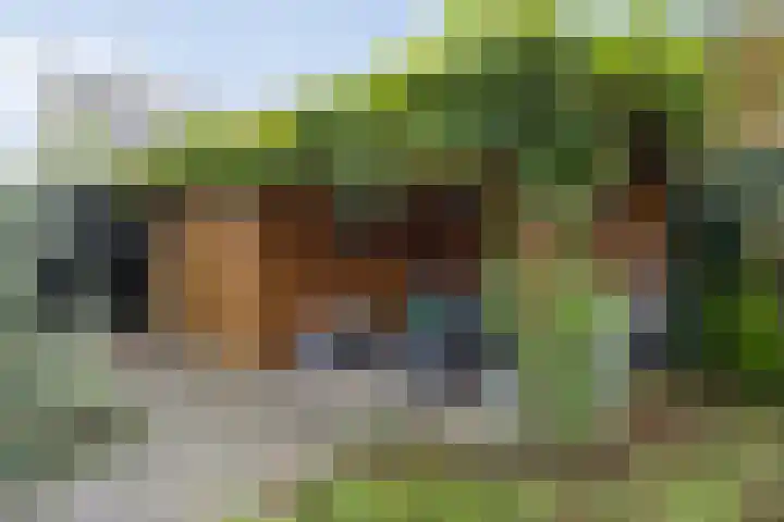 Lisdodde 1 Boxtel thumbnail 61