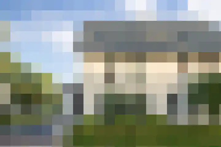 Lisdodde 1 Boxtel thumbnail 66