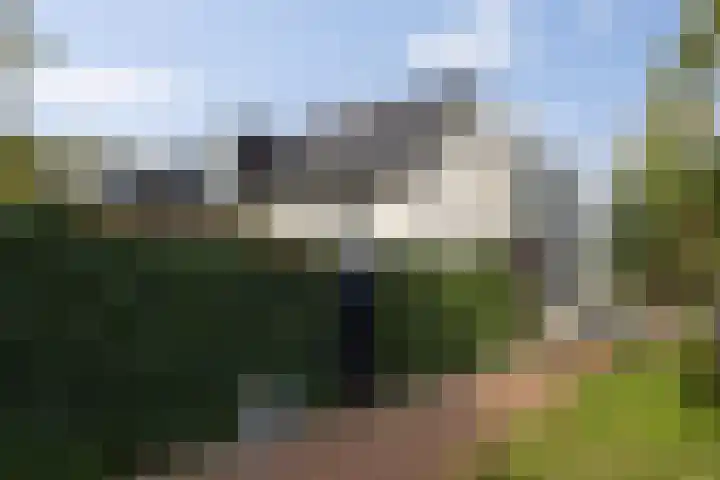 Lisdodde 1 Boxtel thumbnail 68