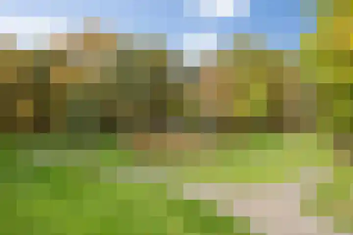 Lisdodde 1 Boxtel thumbnail 69