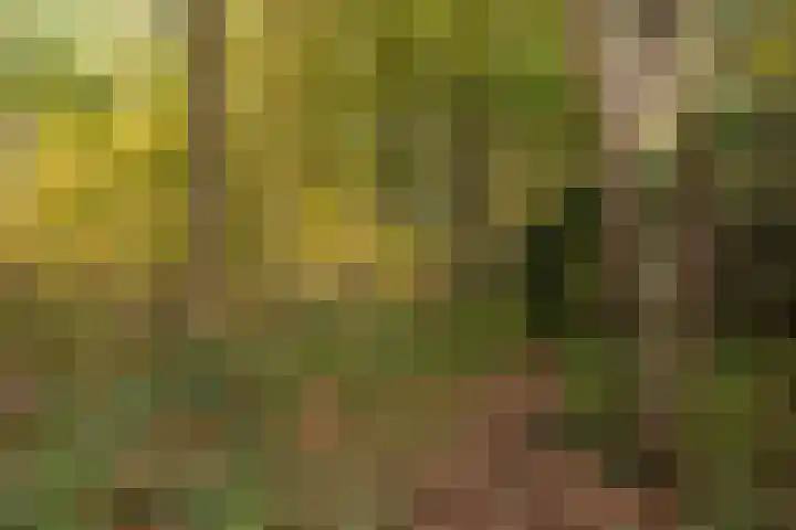 Lisdodde 1 Boxtel thumbnail 73