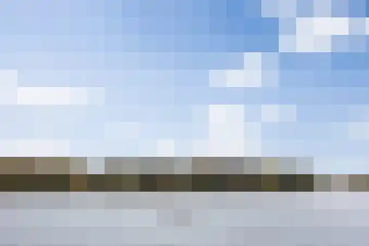 Lisdodde 1 Boxtel thumbnail 76