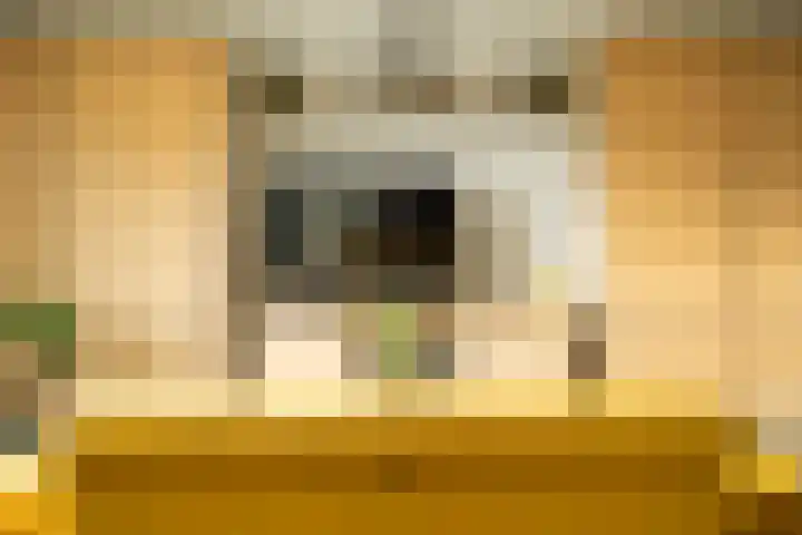Lisdodde 1 Boxtel thumbnail 8