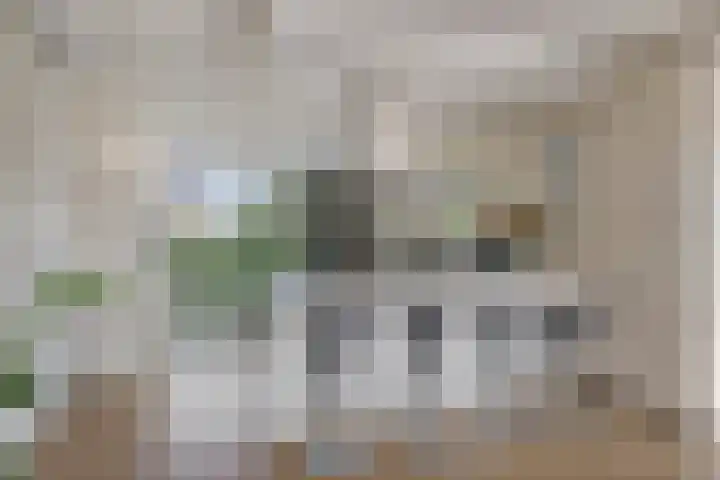 Lisdodde 1 Meppel thumbnail 13