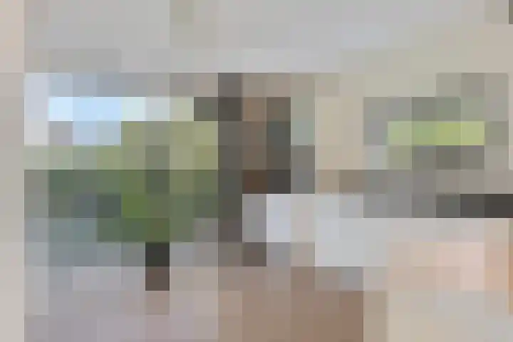Lisdodde 1 Meppel thumbnail 14