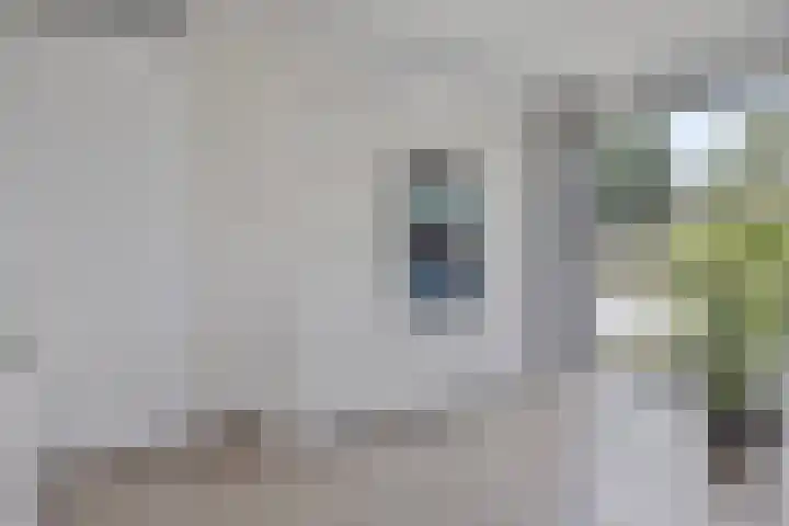 Lisdodde 1 Meppel thumbnail 15