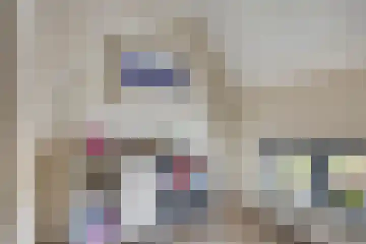 Lisdodde 1 Meppel thumbnail 24
