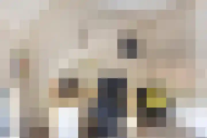 Lisdodde 1 Meppel thumbnail 25