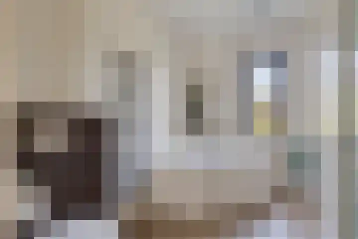 Lisdodde 1 Meppel thumbnail 27